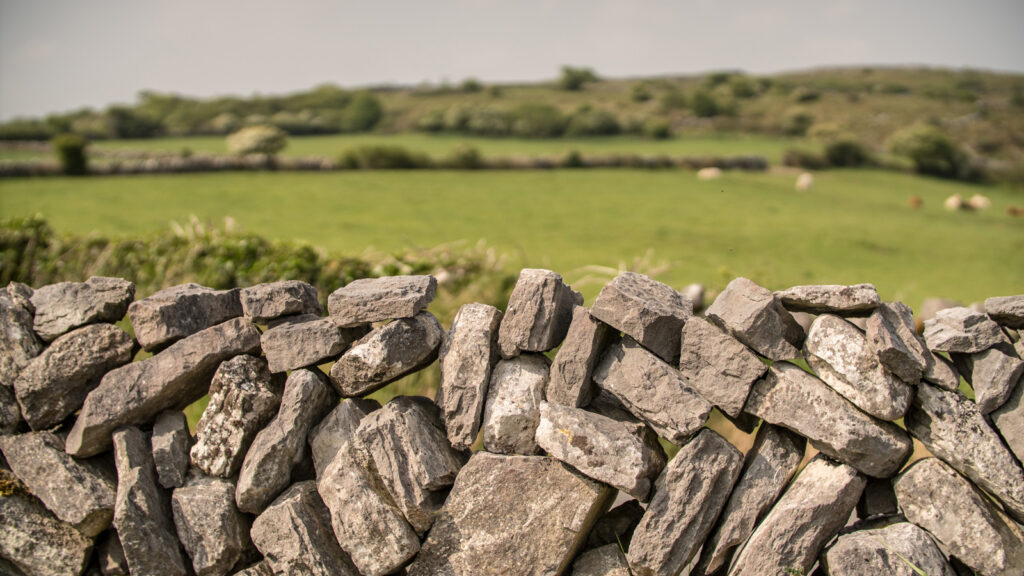 Grassy stone fence fields