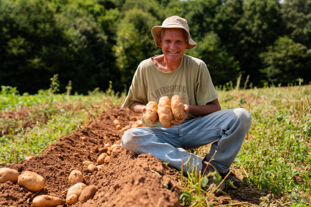 A male farmer in his field of crops holding freshly harvested potatoes for a case story video.
