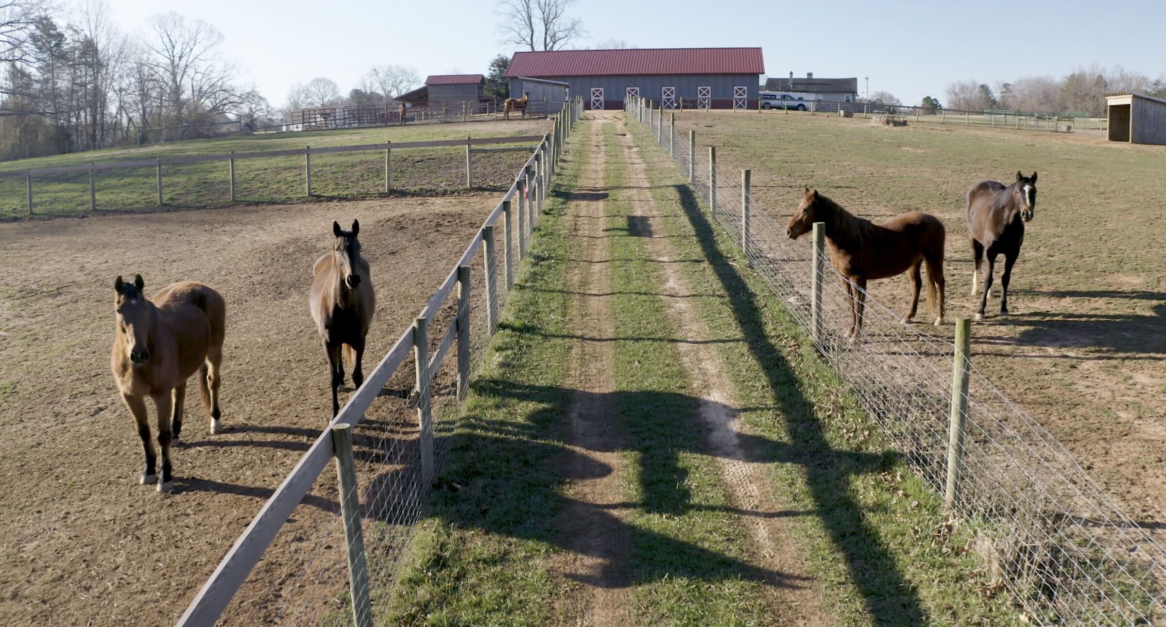 Non-Profit Video Partnership Fuels Deeper Community Awareness 