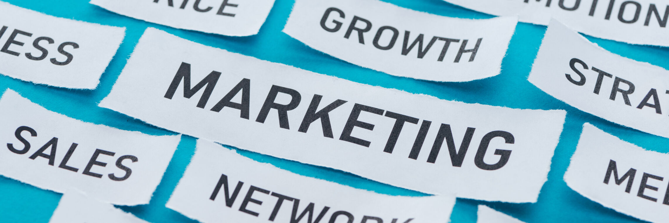 Marketing strategy word collage featuring Growth, Sales and Network concepts